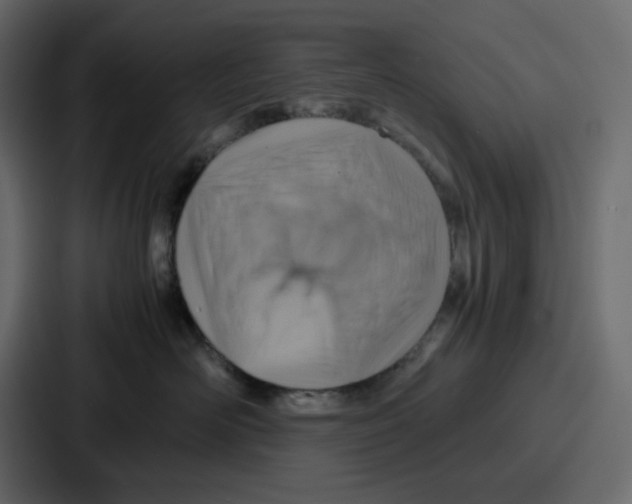 X0000086770526200705111737