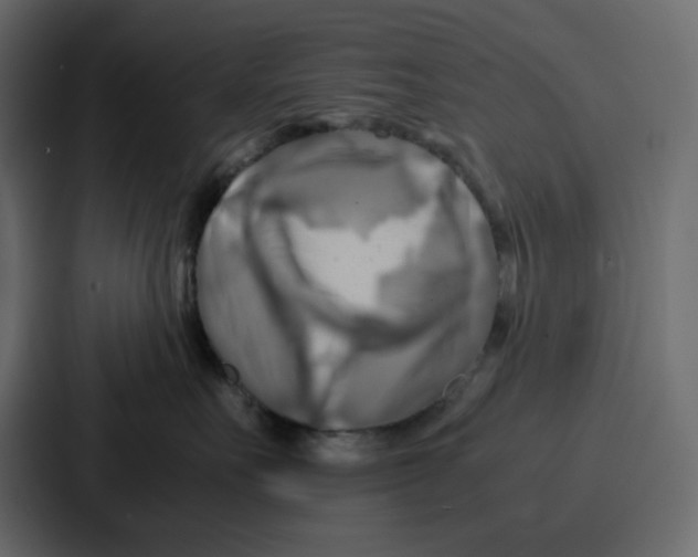 X0000086770527200705111737