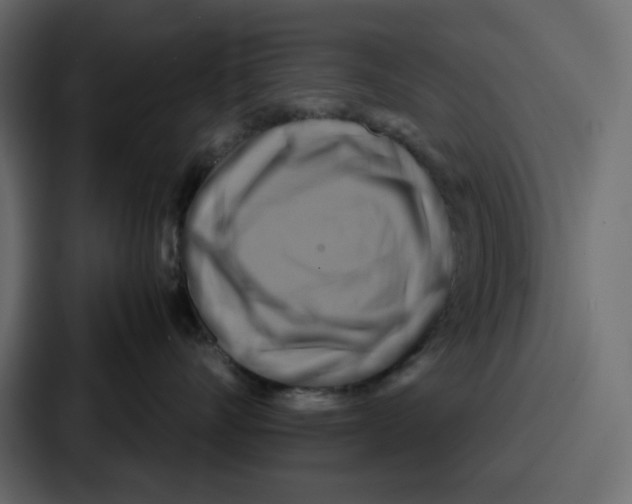 X0000086770528200705111737