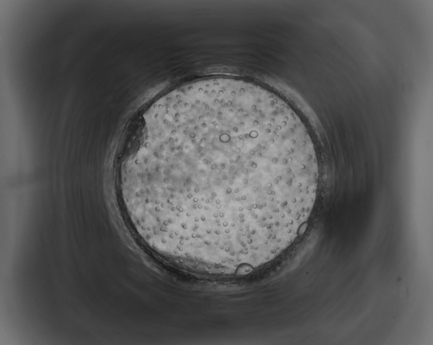 X0000086770529200705111737