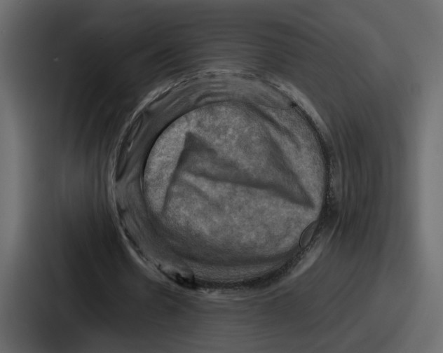 X0000086770530200705111737