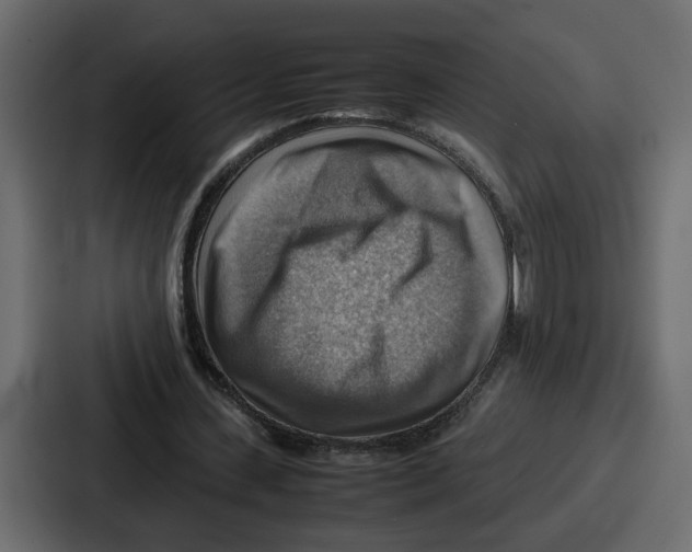 X0000086770531200705111737