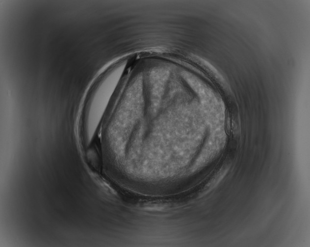 X0000086770532200705111737