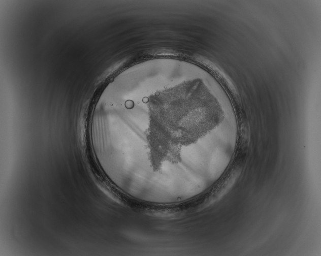 X0000086770533200705111737