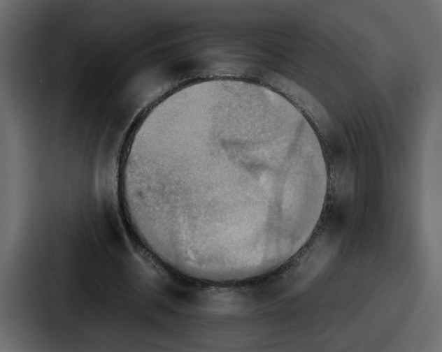 X0000086770534200705111737