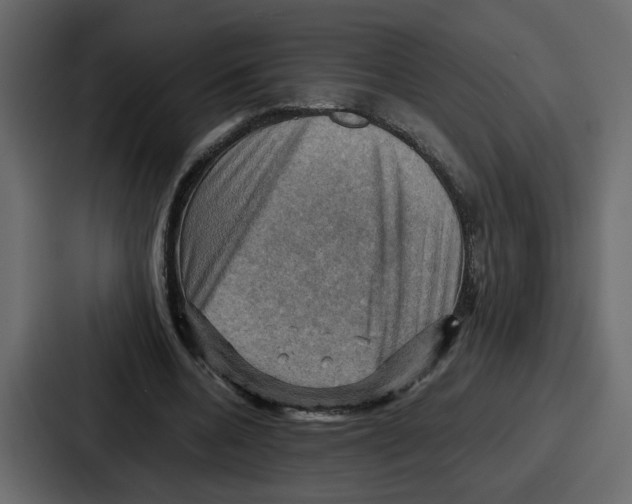 X0000086770536200705111737