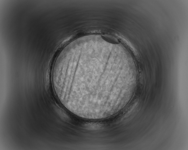 X0000086770537200705111737