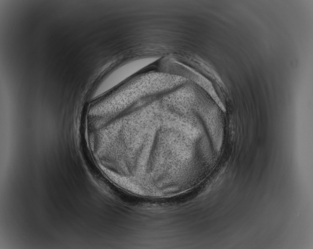 X0000086770538200705111737