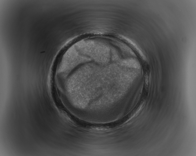 X0000086770540200705111737