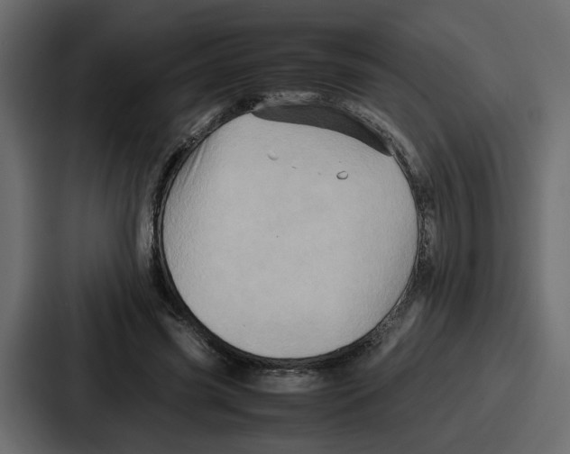 X0000086770541200705111737
