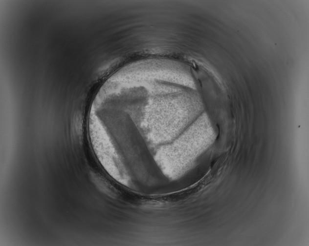 X0000086770542200705111737