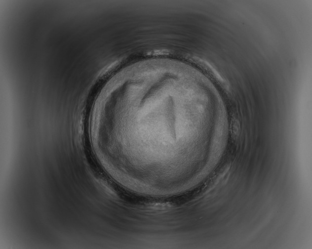 X0000086770543200705111737