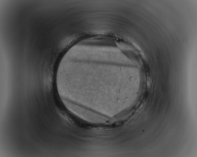 X0000086770544200705111737