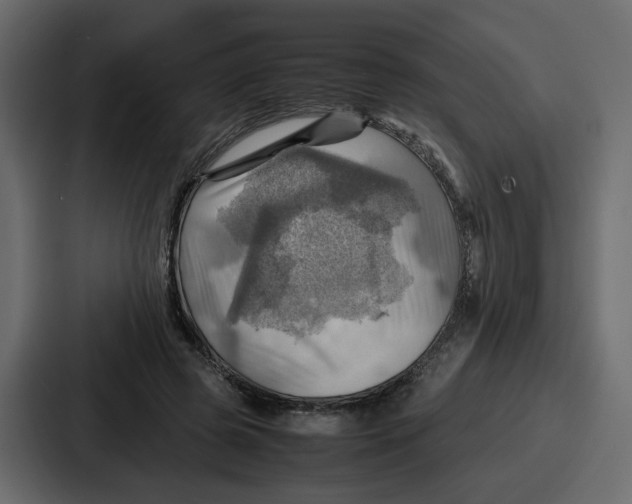 X0000086770545200705111737
