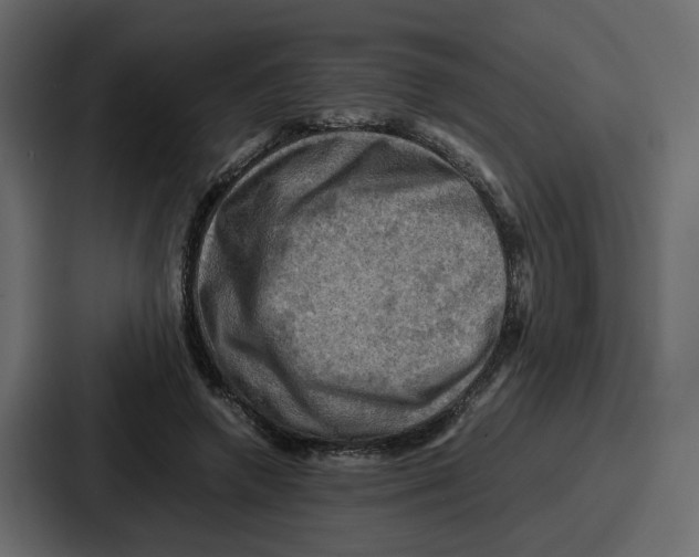 X0000086770546200705111737