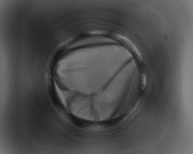 X0000086770547200705111737