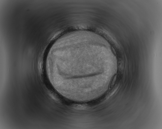 X0000086770548200705111737