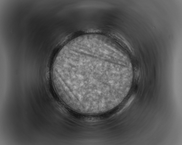 X0000086770549200705111737