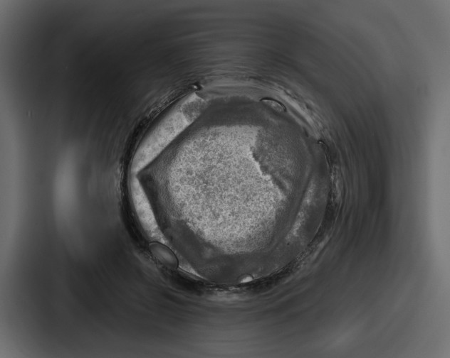 X0000086770550200705111737