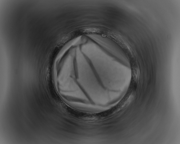 X0000086770551200705111737