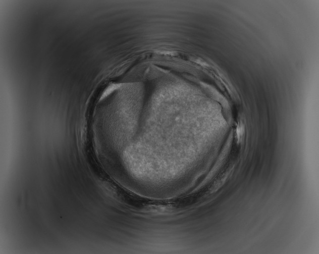 X0000086770552200705111737