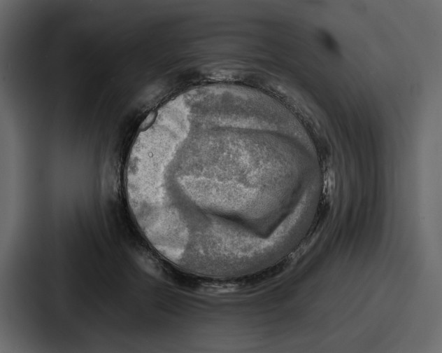 X0000086770554200705111737