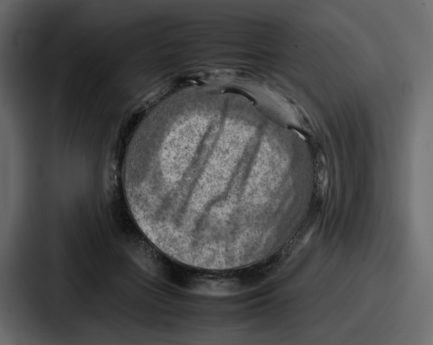 X0000086770555200705111737