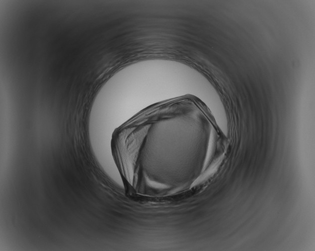 X0000086770556200705111737