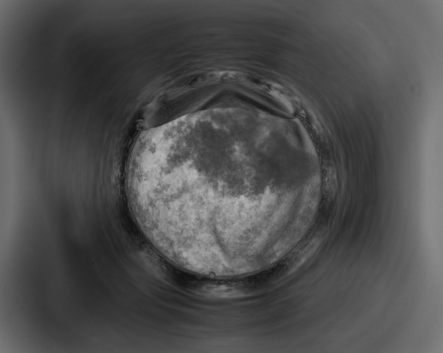 X0000086770557200705111737