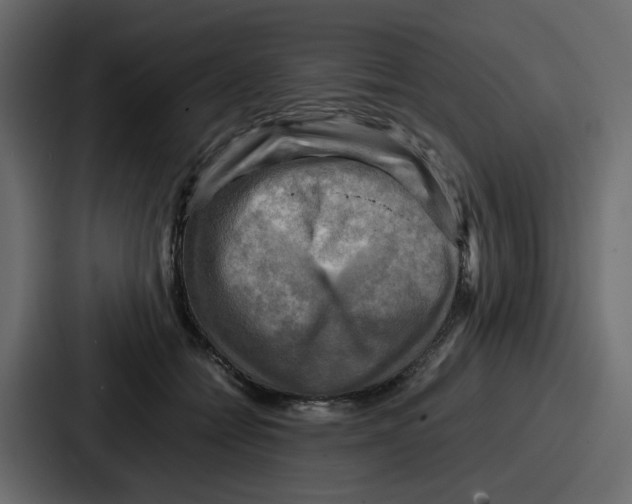 X0000086770558200705111737