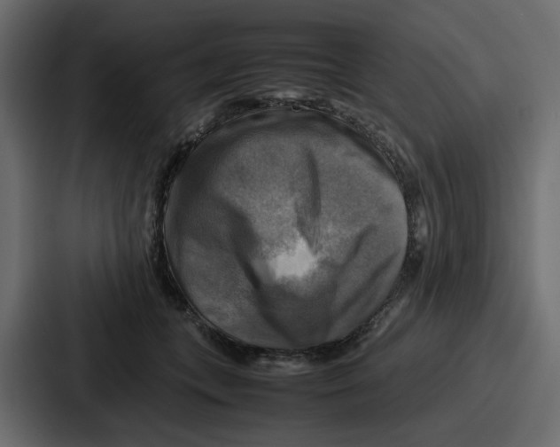 X0000086770559200705111737
