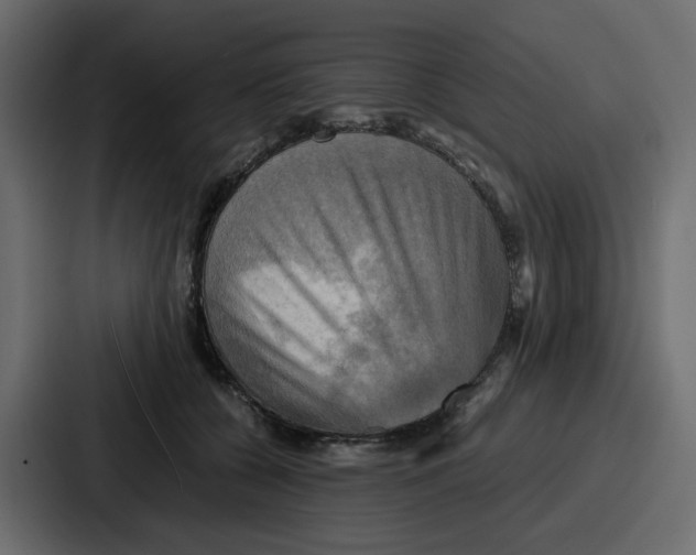 X0000086770560200705111737