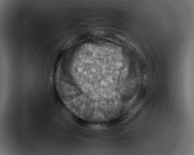 X0000086770561200705111737