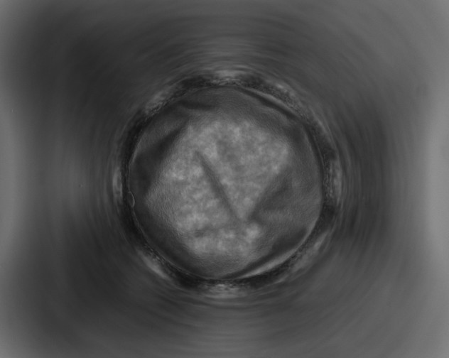 X0000086770562200705111737