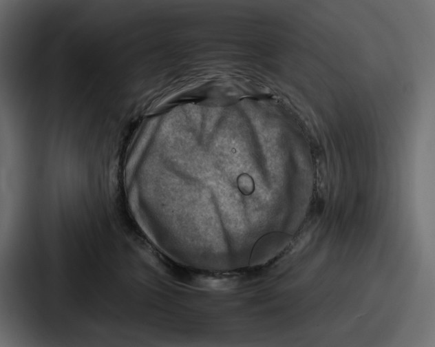 X0000086770563200705111737