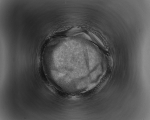 X0000086770564200705111737