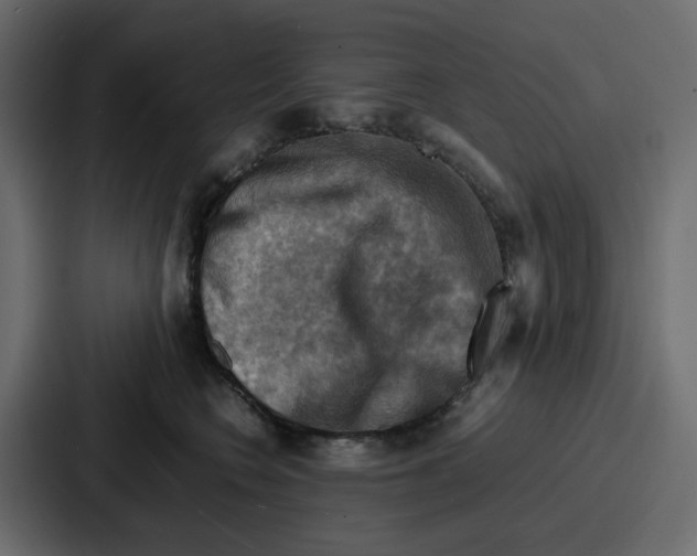 X0000086770566200705111737