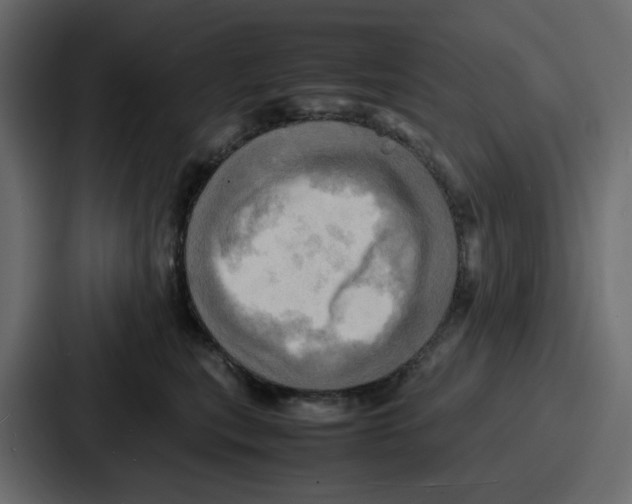 X0000086770567200705111737