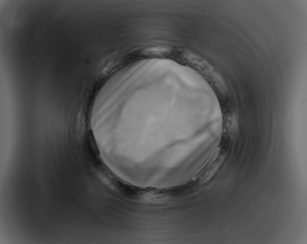 X0000086770568200705111737