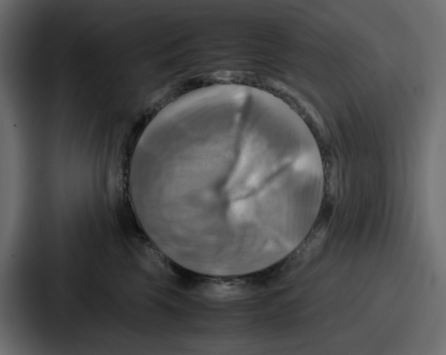 X0000086770569200705111737