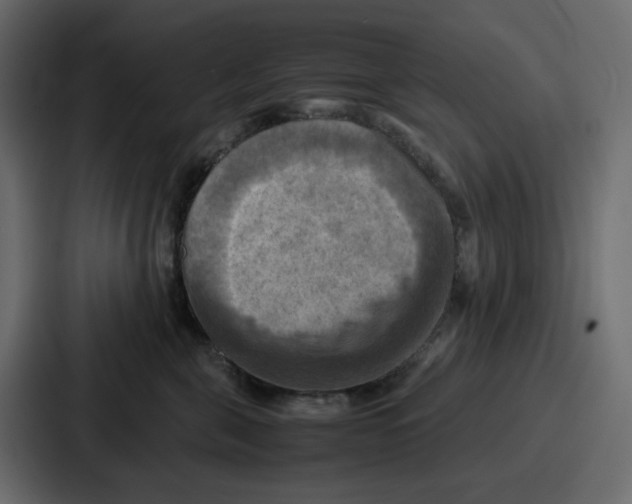 X0000086770571200705111737