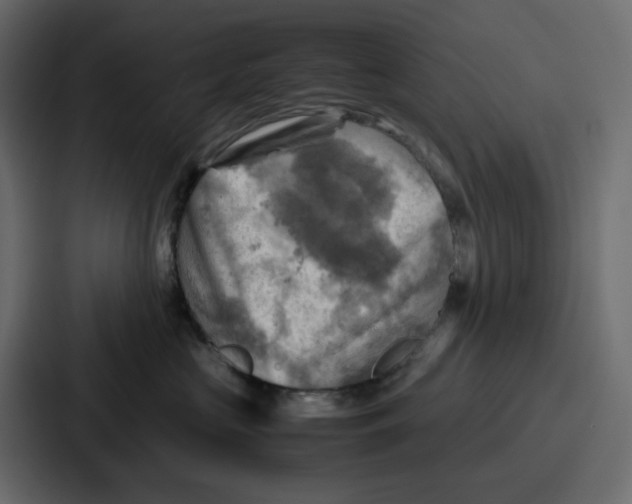 X0000086770573200705111737