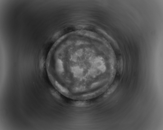 X0000086770574200705111737