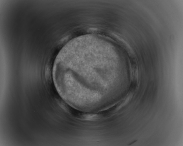 X0000086770575200705111737
