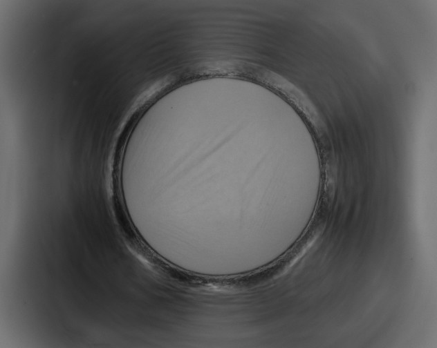 X0000086770578200705111737
