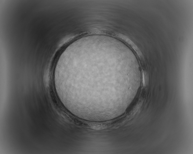 X0000086770579200705111737