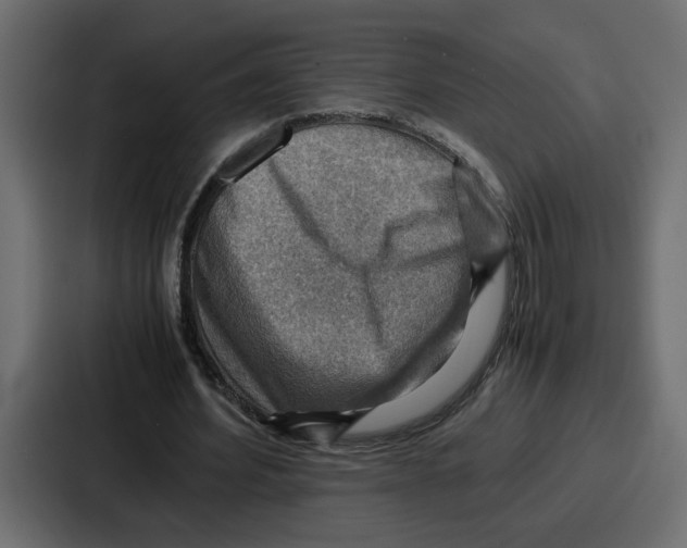 X0000086770580200705111737