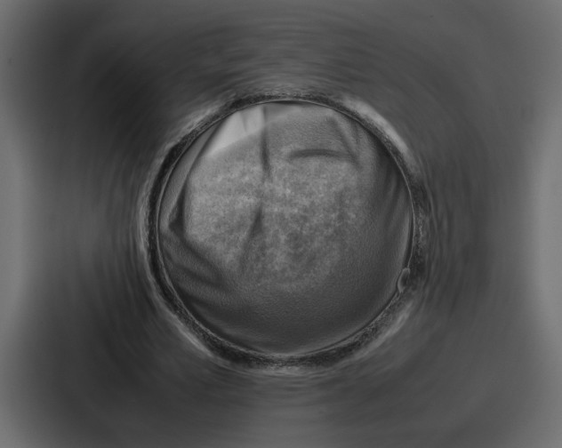X0000086770581200705111737