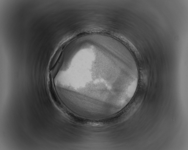 X0000086770582200705111737