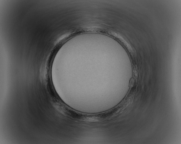 X0000086770583200705111737